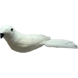 Oiseaux sur pic 3½" (pqt.12) Blanc