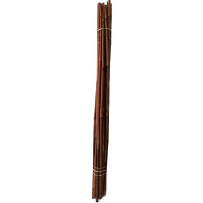 Tuteur bambou 36" pqt.25 Couleur rouille