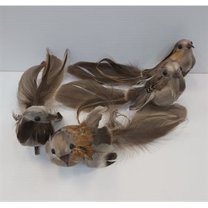 Oiseaux à vrai plume avec pinces (bte.12)