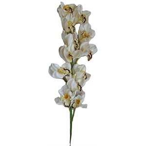 Cymbidium Orchidée Tige 42" Blanc 'Real Touch'