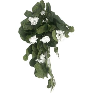 Bouquet de Géranium retombant Blanc