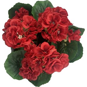 Bouquet de Géranium 15" Rouge